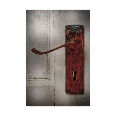 Christine Sainte-Laudy 'Scalloped Door' Canvas Art,22x32